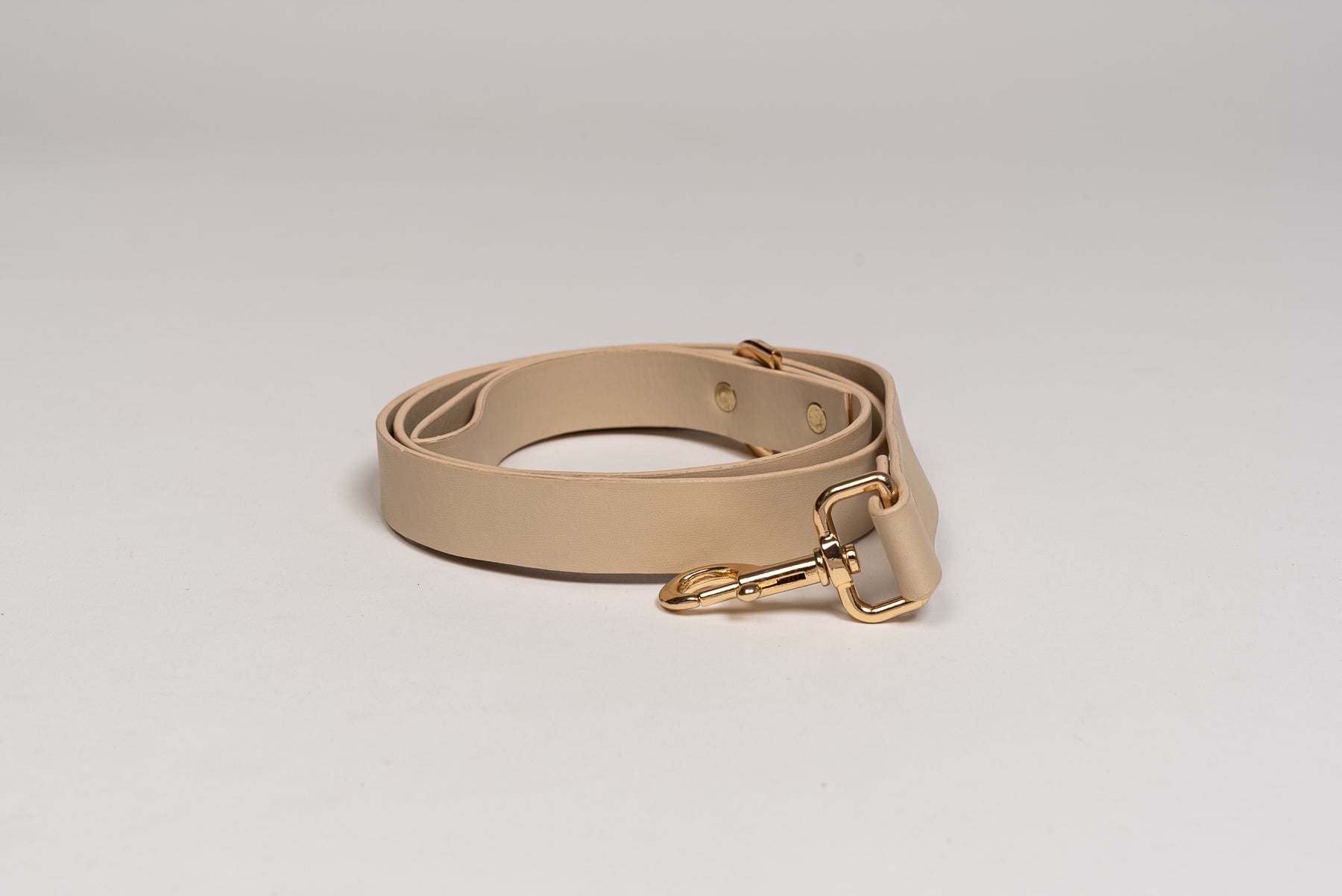 The northern fleece leash Baige